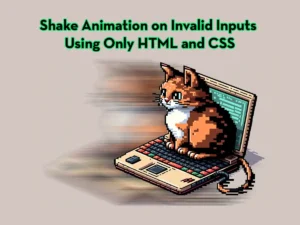 Shake Animation on Invalid Inputs Using Only Html and Css